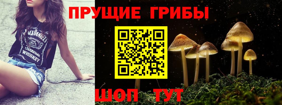 Псилоцибиновые грибы мицелий Добрянка